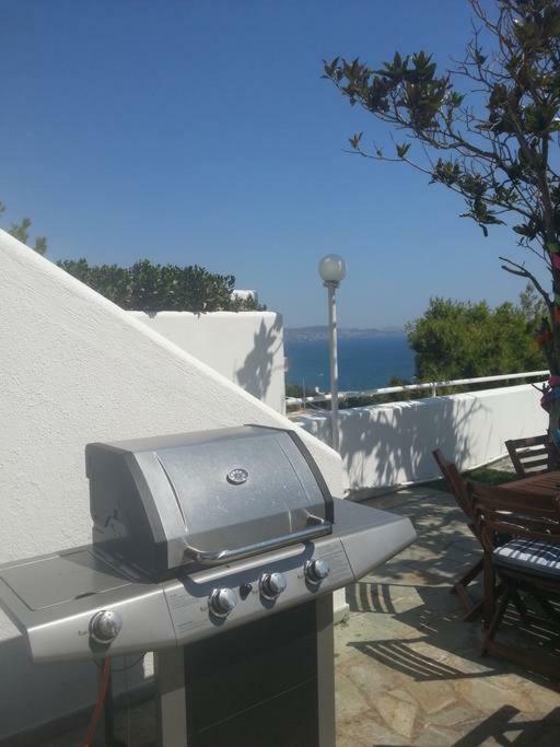Beautiful, Private Villa By The Sea Agia Marina (Attica) Exterior foto