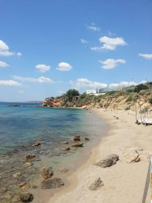 Beautiful, Private Villa By The Sea Agia Marina (Attica) Exterior foto