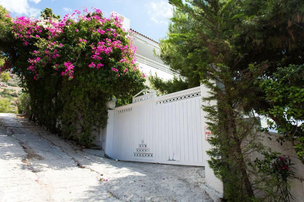 Beautiful, Private Villa By The Sea Agia Marina (Attica) Exterior foto