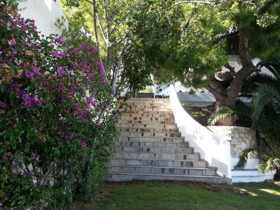 Beautiful, Private Villa By The Sea Agia Marina (Attica) Exterior foto